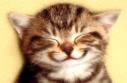 calliope amused