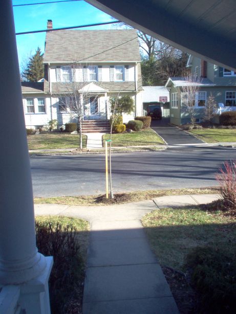 view from house