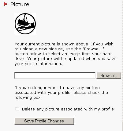 Profiler