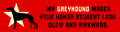 bumper sticker
