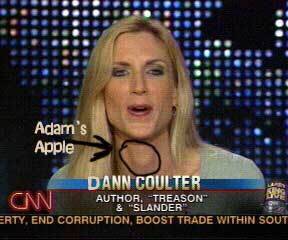 ann
