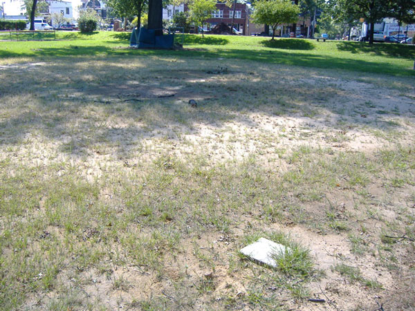 field