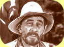 Festus