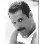 freddie