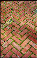 bricksmoss