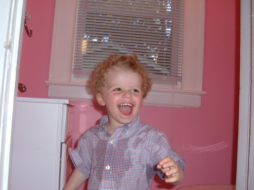 andrew