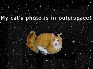 Kitty