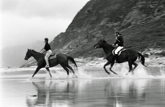 horseys