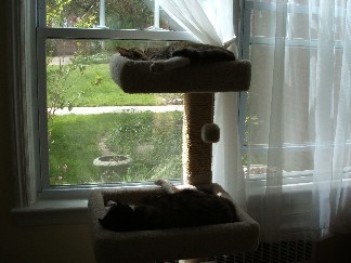 Nap Time