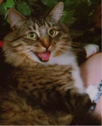 Thomas smiling