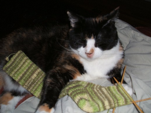 Syd and Sock