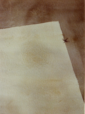 poa6