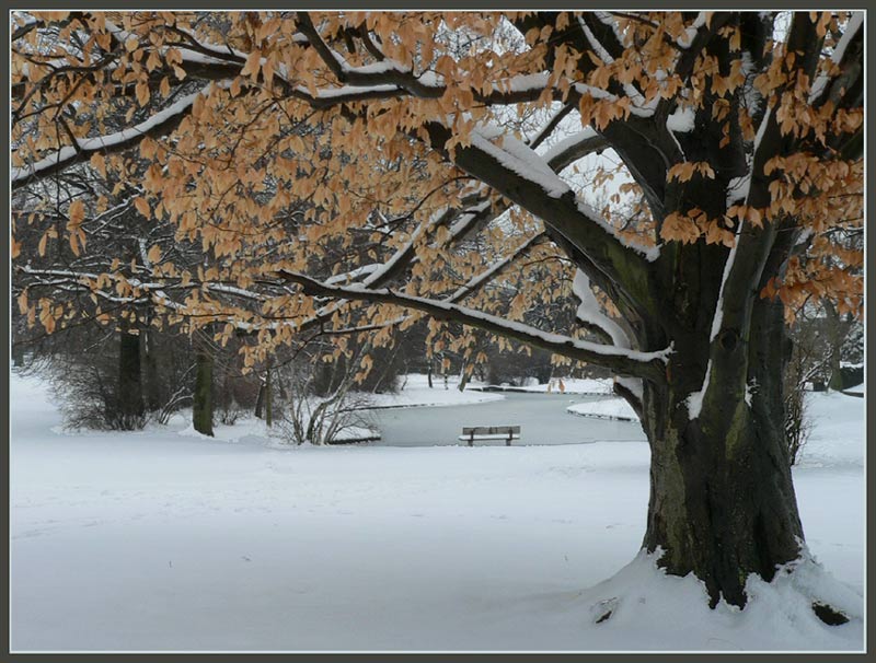 snowmempark