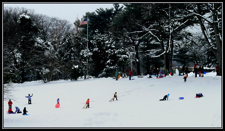 sledding
